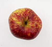 Stort æble på 471 gram